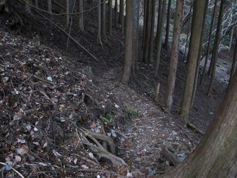 20161206hike (495)